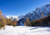 Winter wonderland with trees still in autumn colours is seen near Vrsic pass above Kranjska Gora, Slovenia, on 12th of November 2023. First snow covered higher areas in mountains around Vrsic pass near Kranjska Gora, Slovenia.